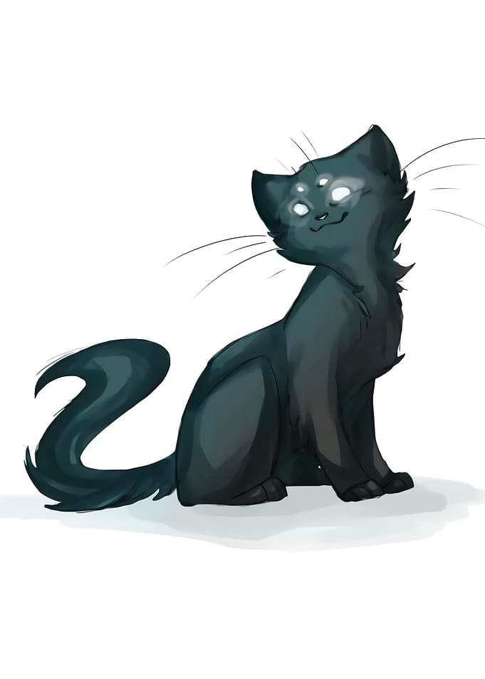 Black Cat