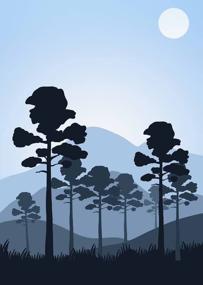 Forest Trees by Mountains