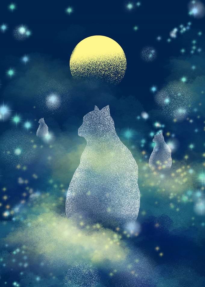 Cat silhouette by the Moon