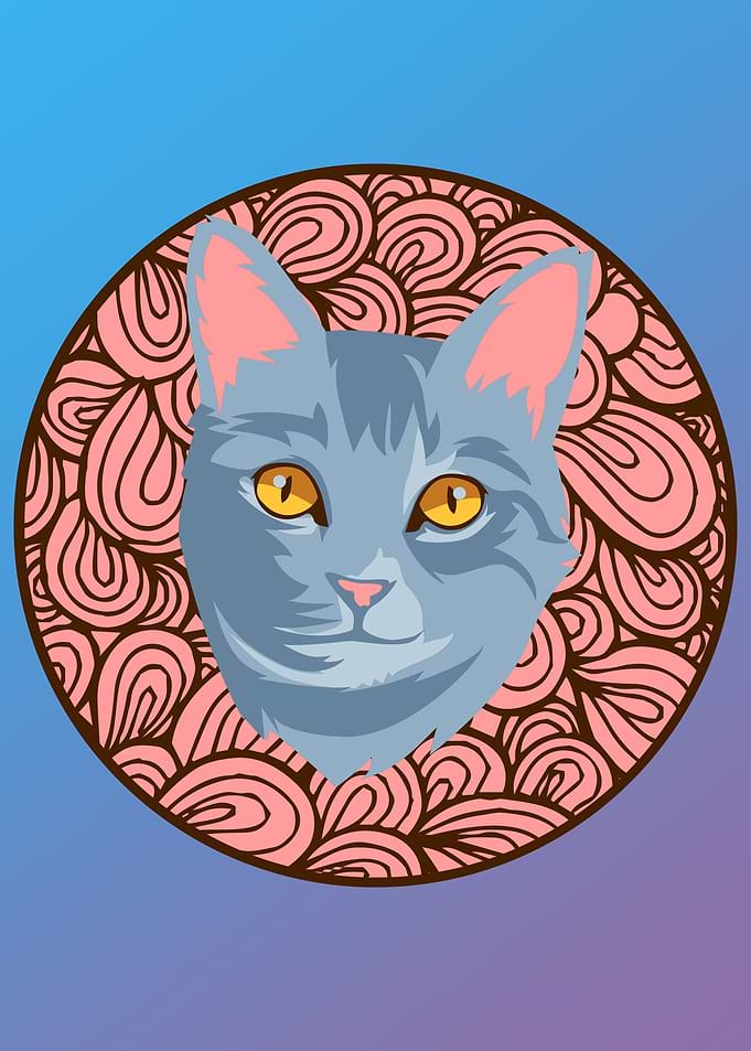 Funny Cat Head