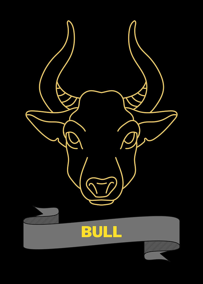 Big Bull