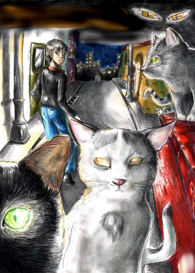Suspicious cats