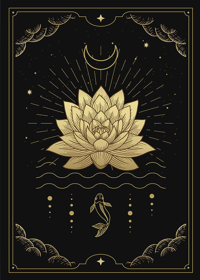 Lotus flowers blooming