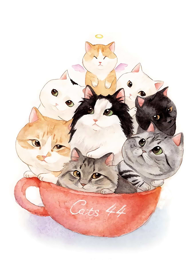 Family Cat