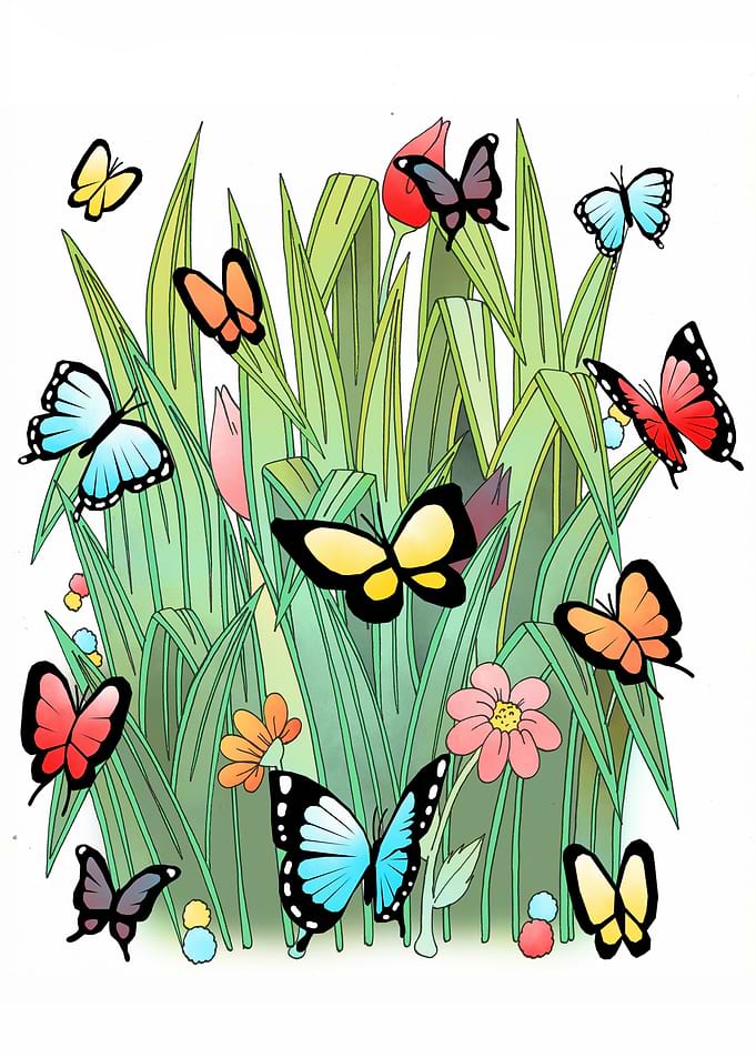 Butterflies
