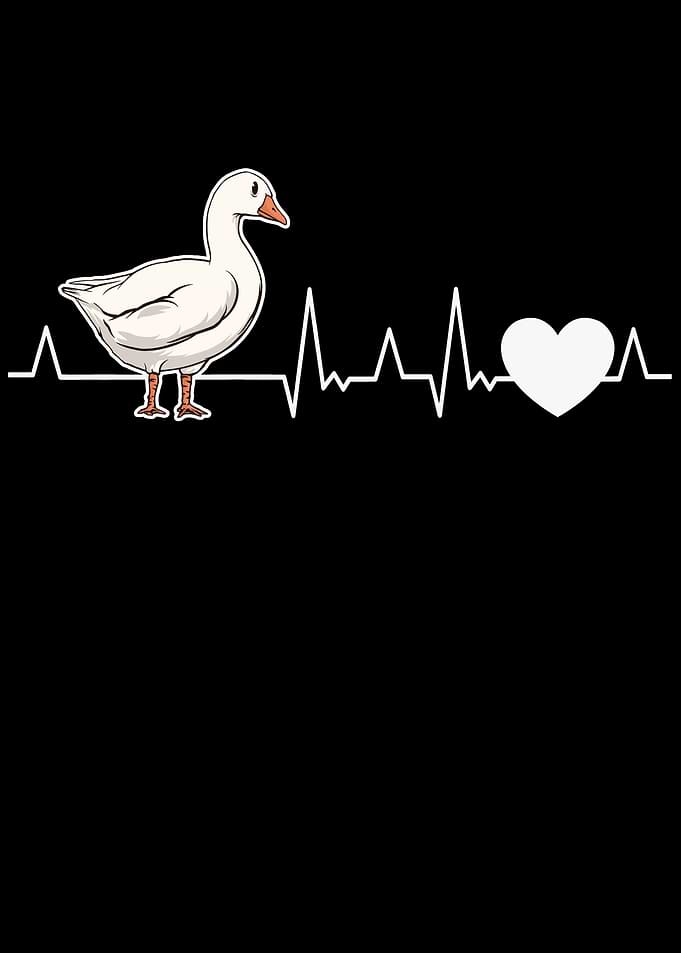 Geese Herzschulag Breeder