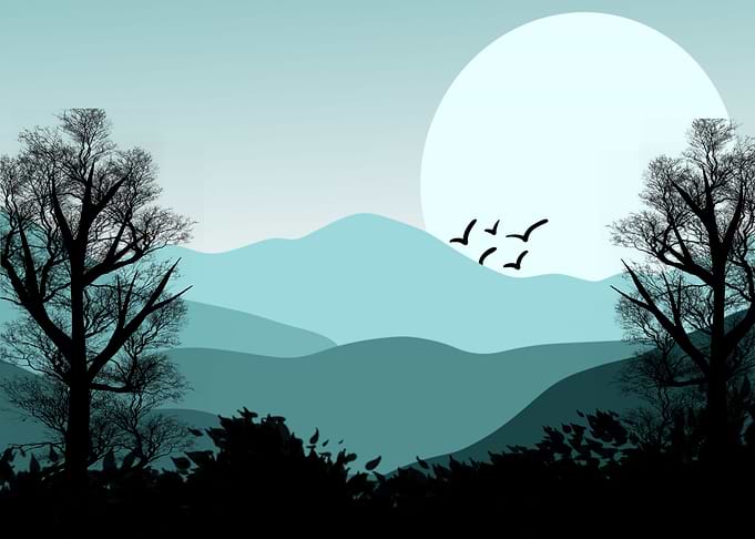 Forest by the Mountains