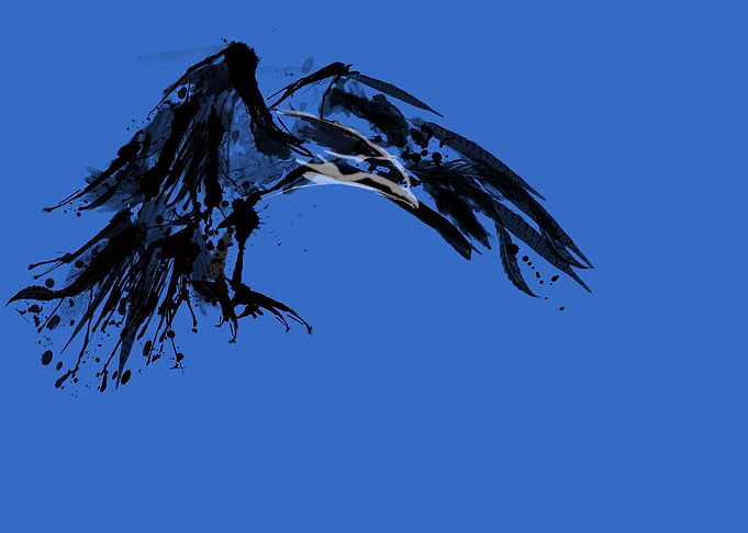 As the Crow Flies