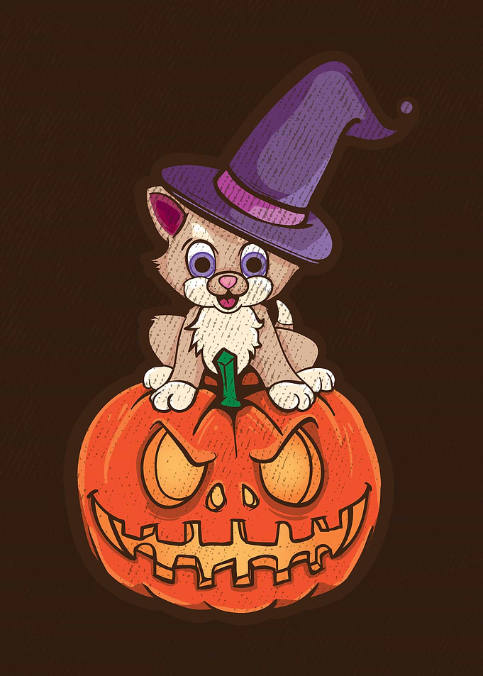 Halloween Pumpkin Cat