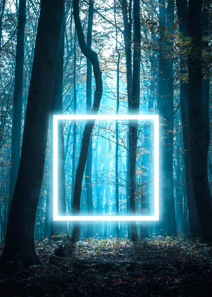 Portal