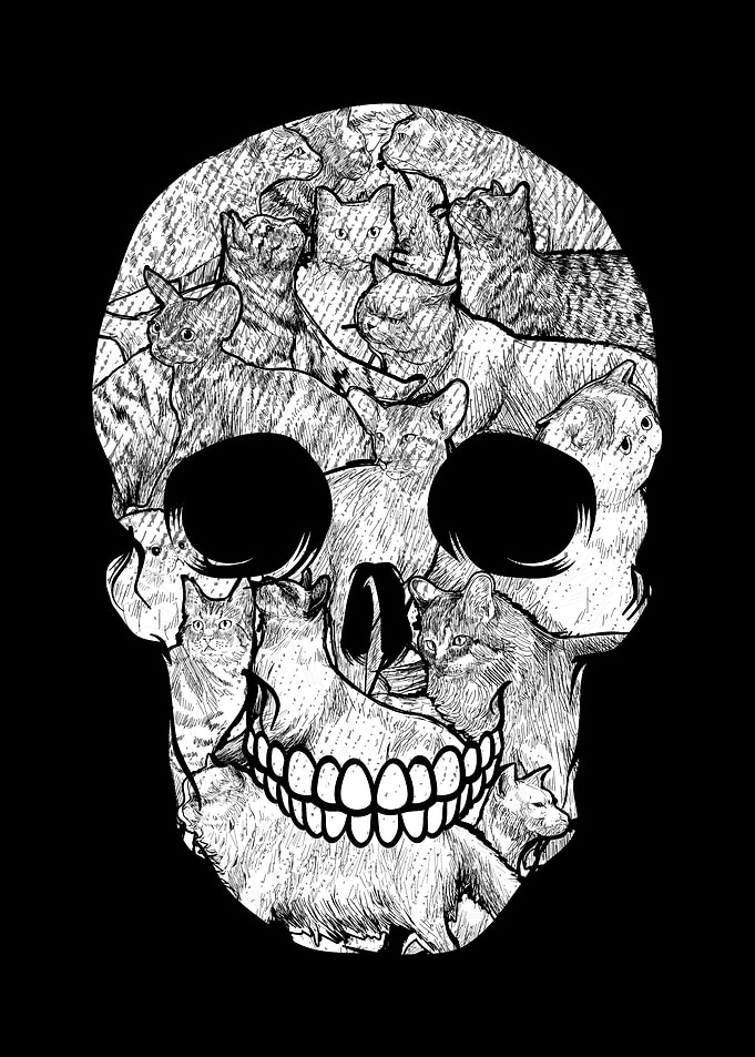 Skull Cat Cats Black