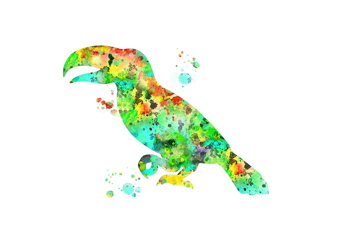 Toucan