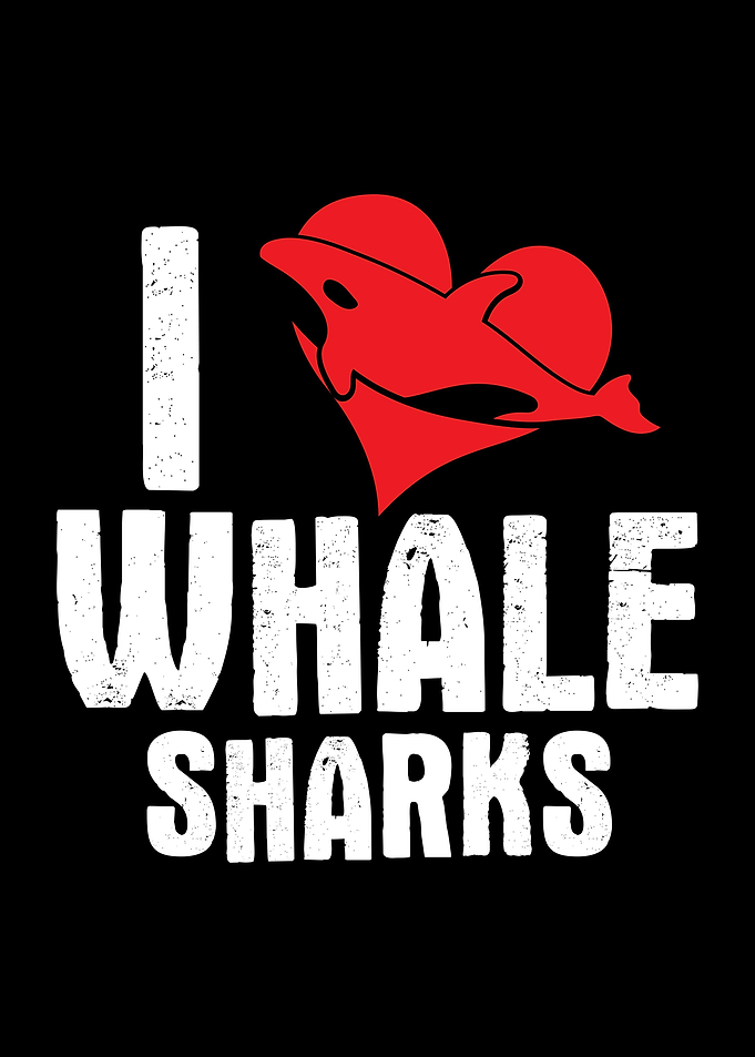 I Love Whale Sharks Shark