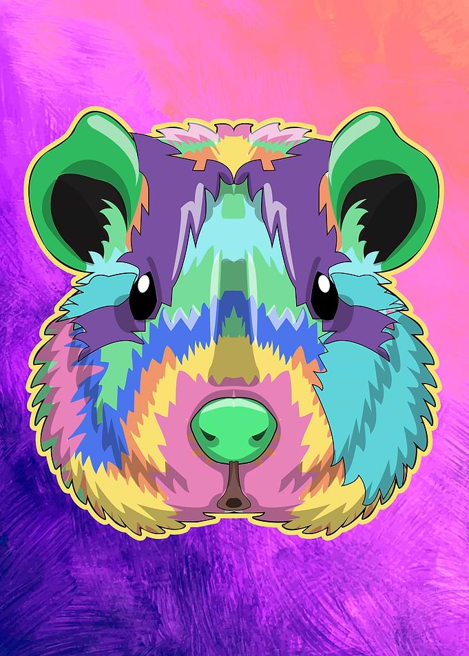 Guinea Pig Splash Animals