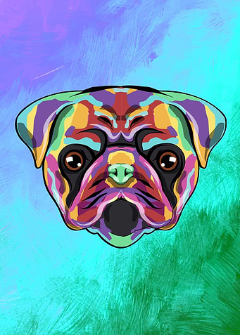 Pug Dog Splash Animals