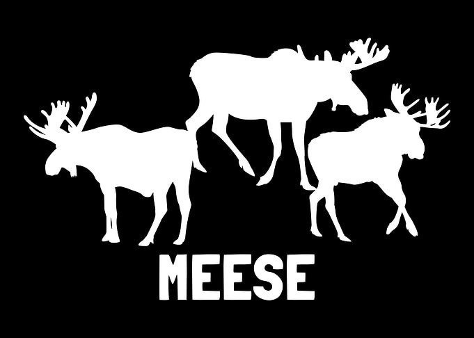 Moose Elk Hunting