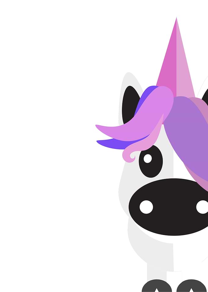A Shy Unicorn