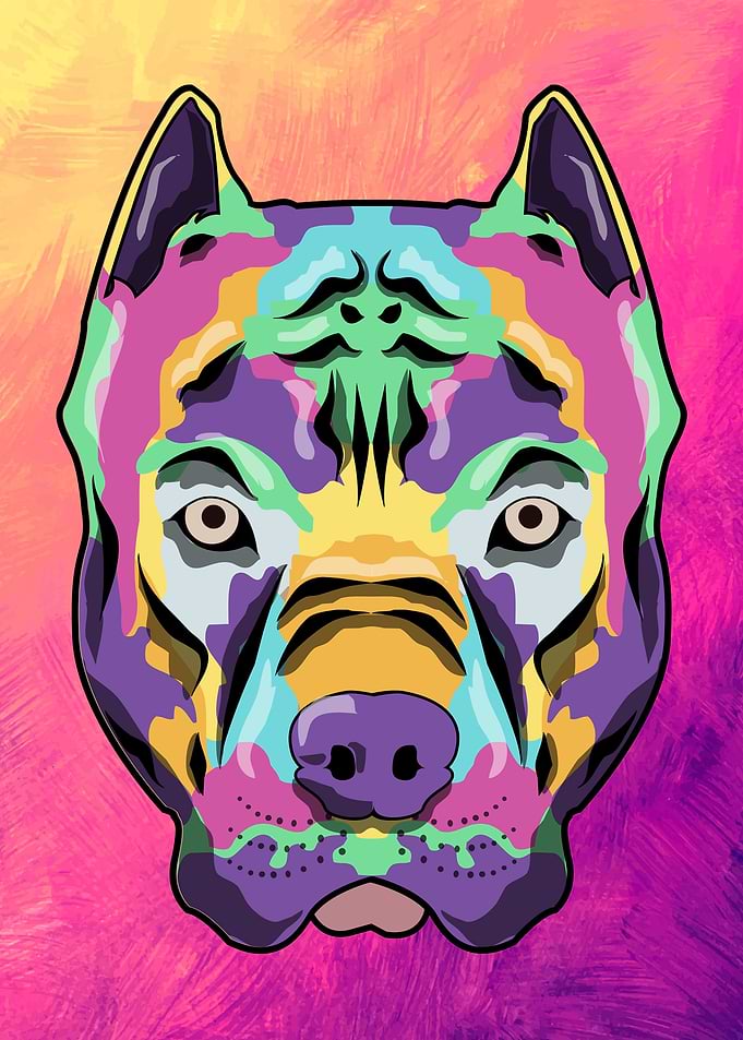 Amstaff Pitbull Splash Dog