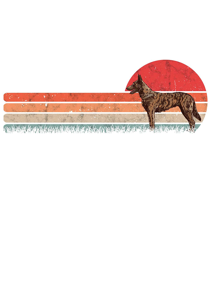 Hollandse Herder Retro