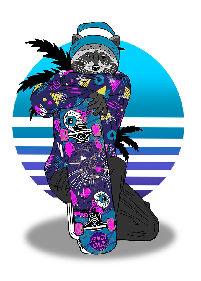 Raccoon Sk8ter