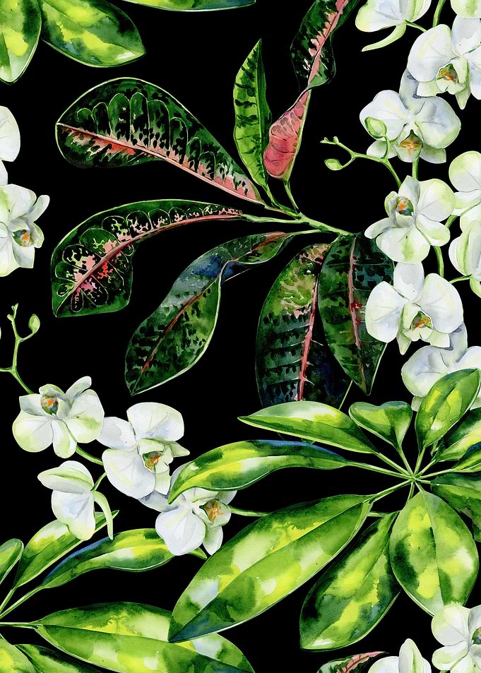 Black Watercolor Trop 02