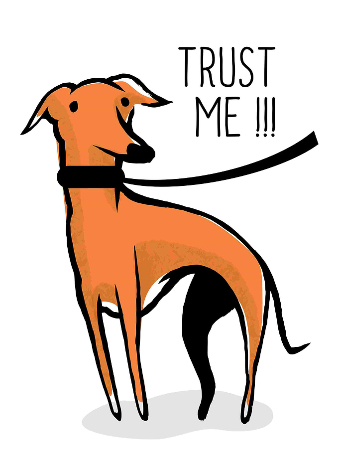 Hound dog
