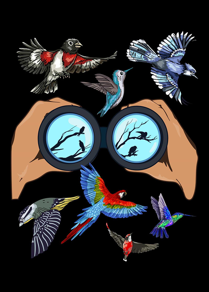 Bird Watching Binocular