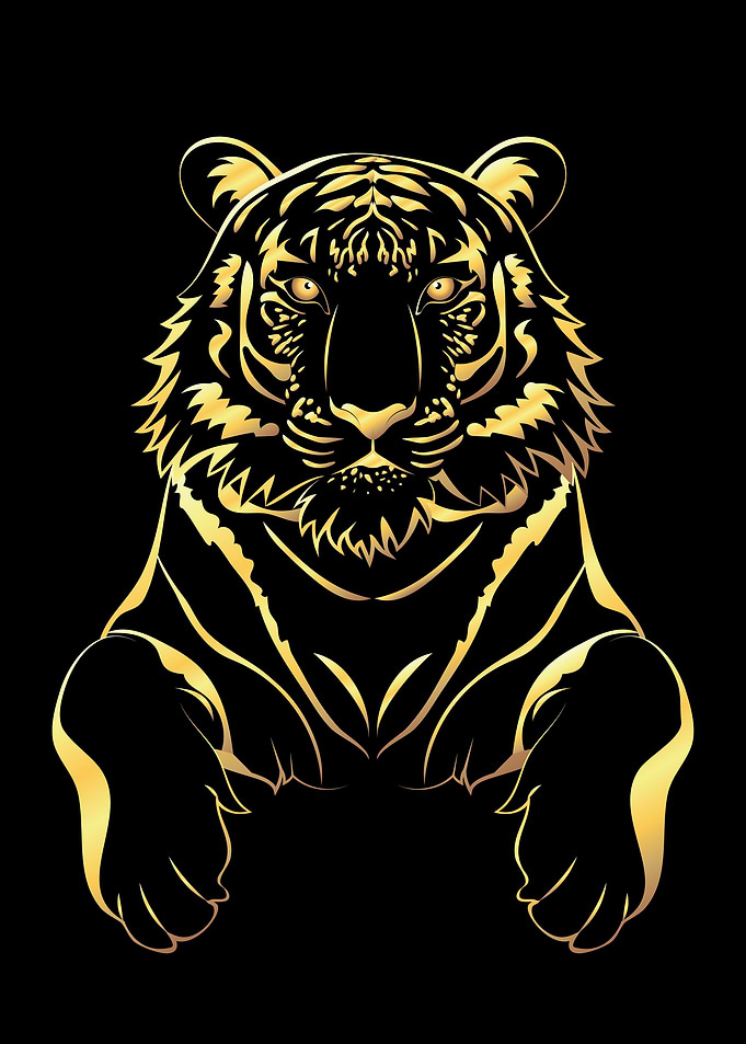 Black tiger and gold