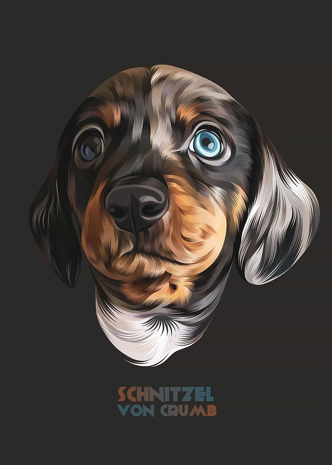 Schnitzel Von Crumb