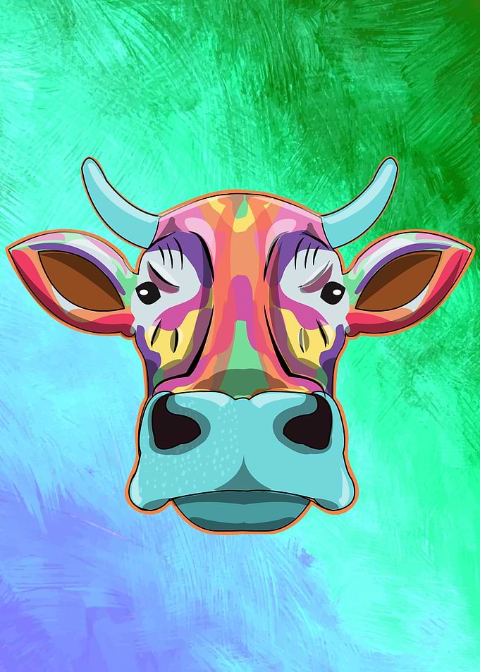 Cow Splash Cows Animal