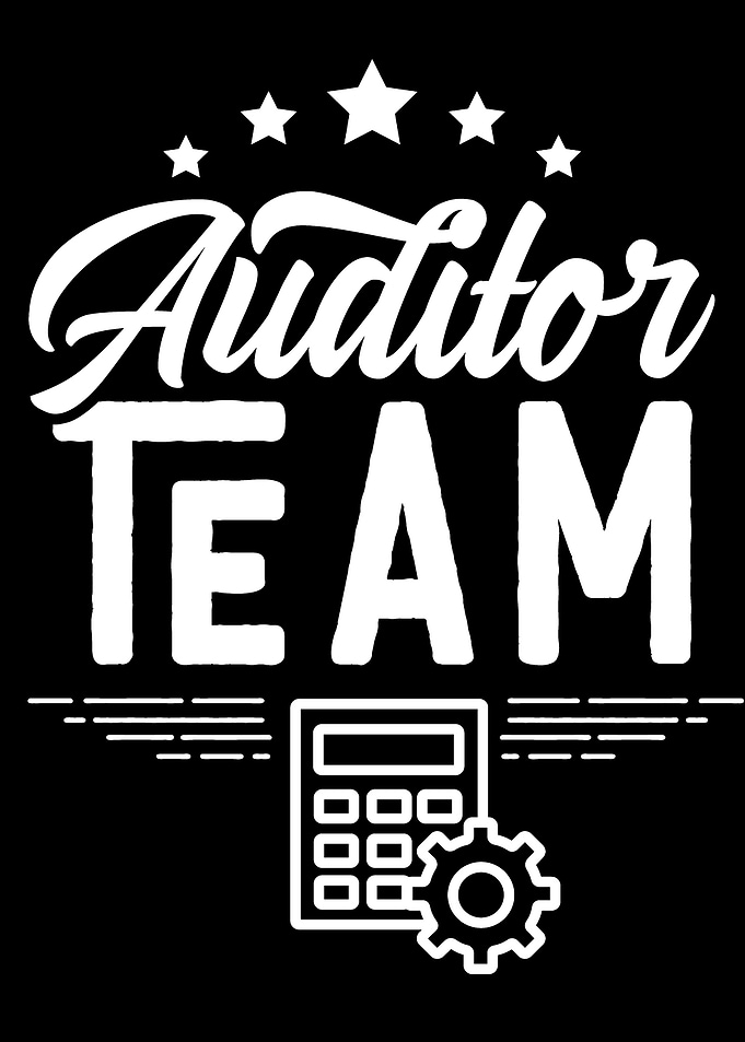 Auditor Team