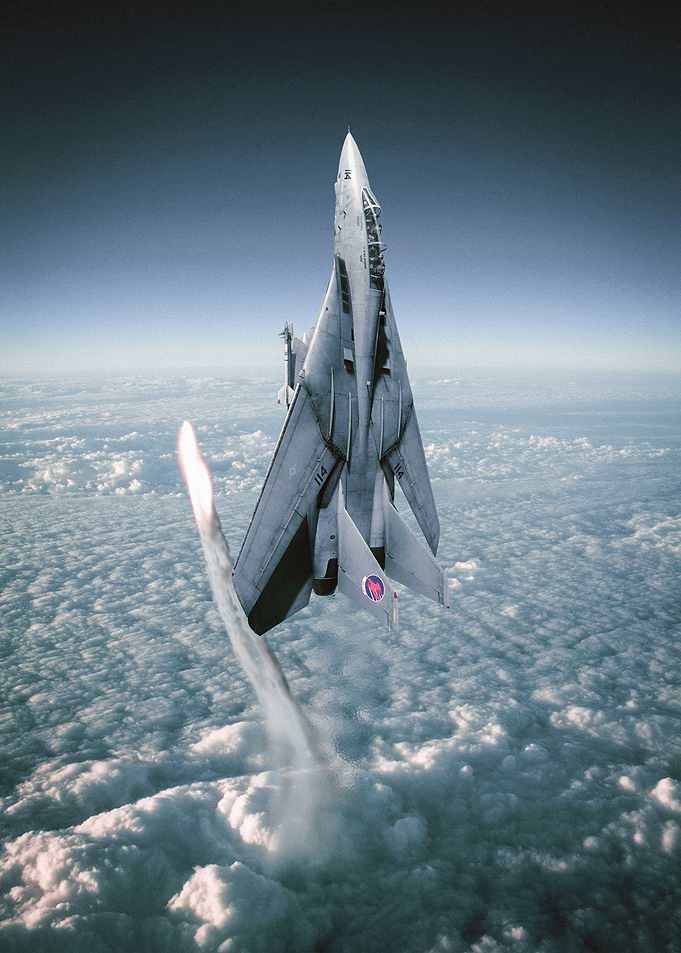 tomcat