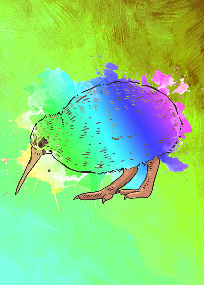 Kiwi Bird New Zealand