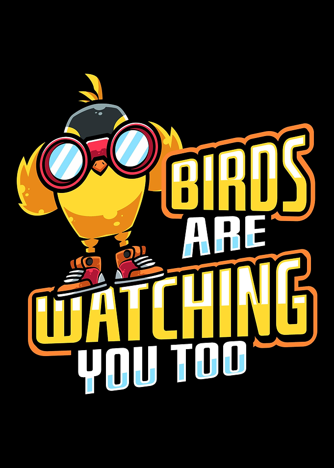 Bird Watching Robin Bird