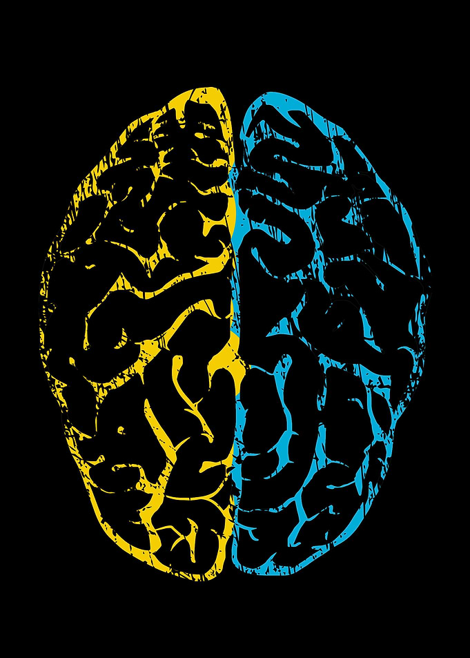 Brain vintage