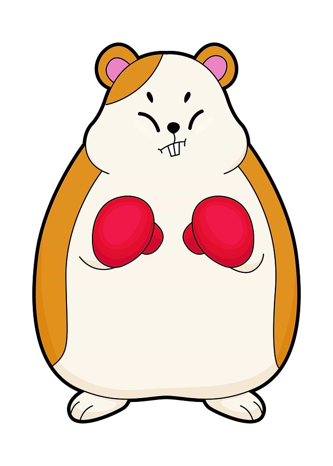 Hamster Boxer Boxing glove