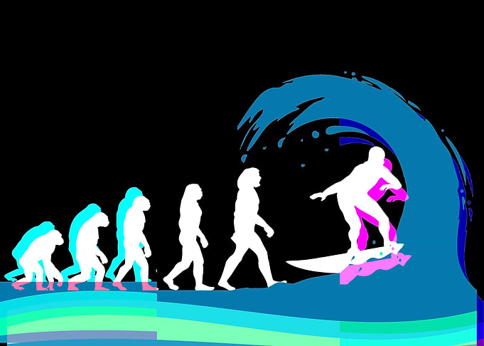 Surfing Evolution Glitch