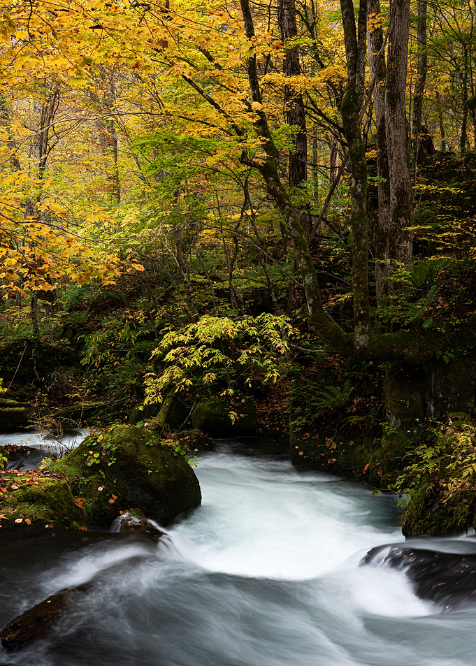 秋妝