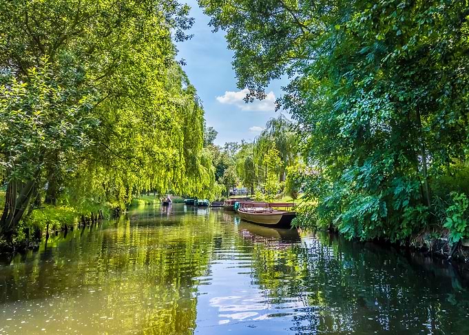 Spree forest boat trip