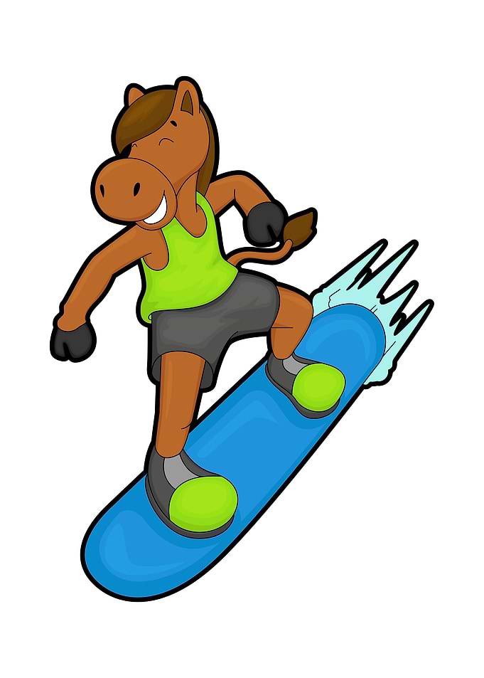 Horse Snowboard Sports