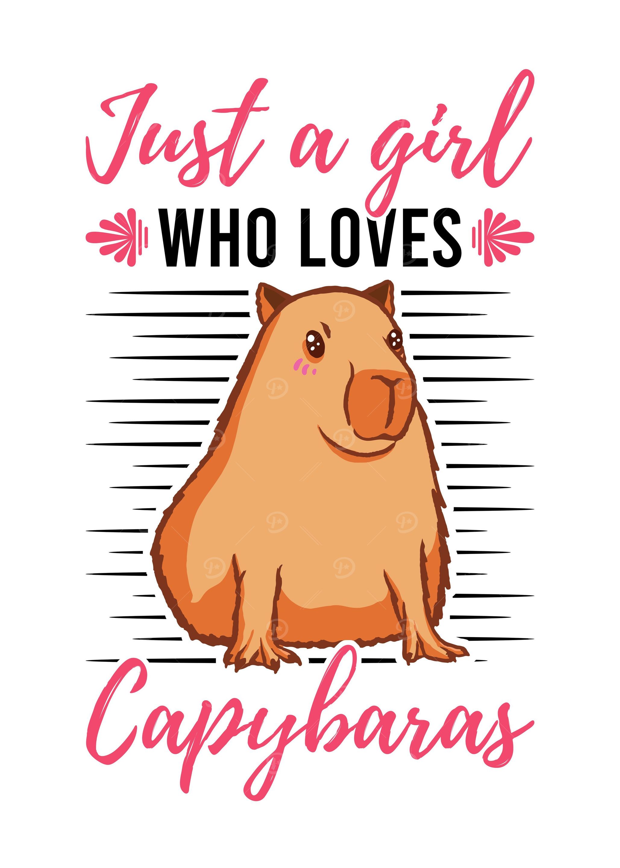 Just A Girl Who Loves