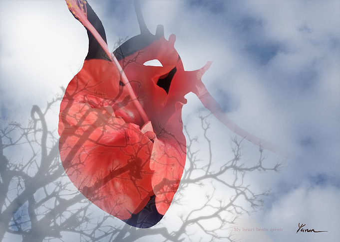 My Heart Beats Green 5