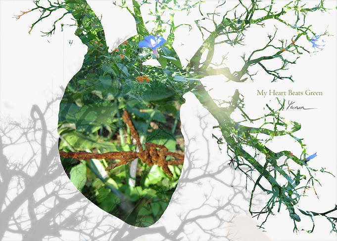 My Heart Beats Green 4