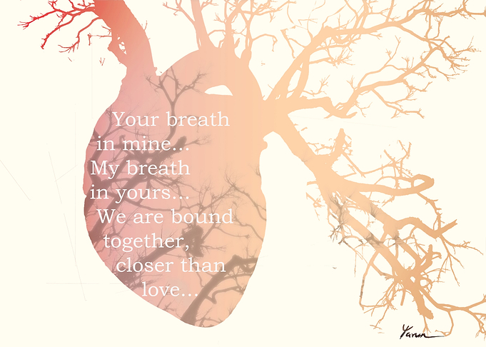 My Heart Beats Green 7