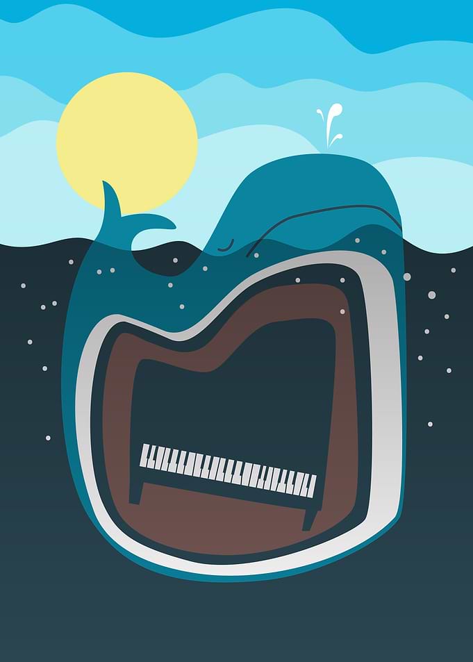 Piano Inside The Whale
