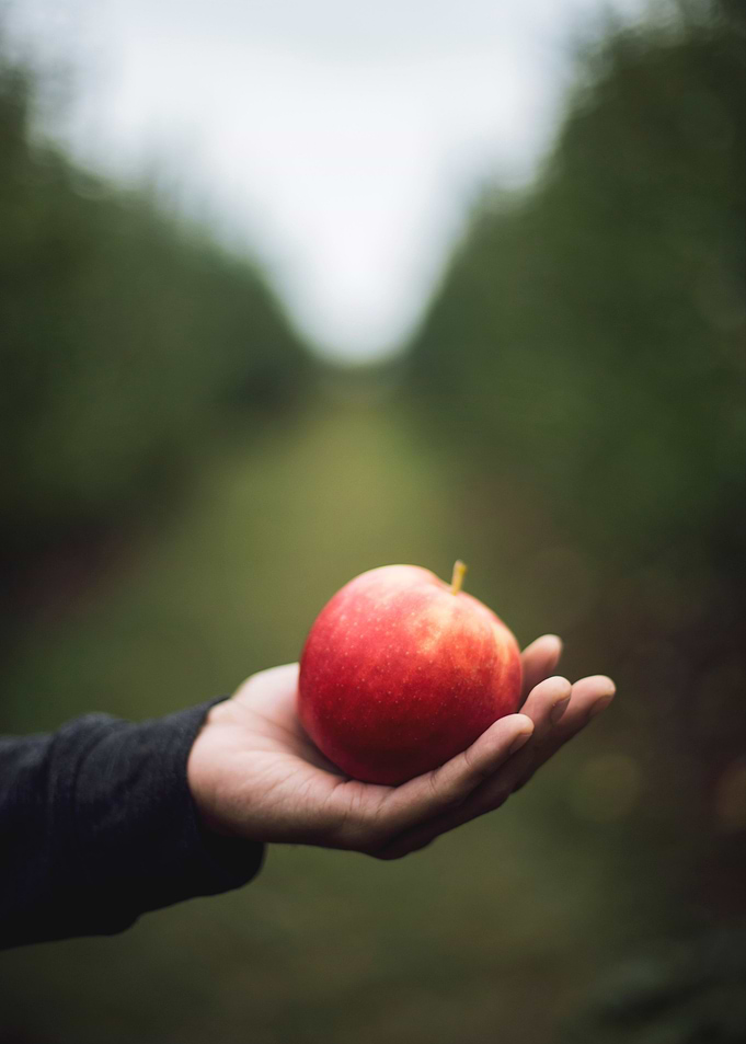 apple on my hand