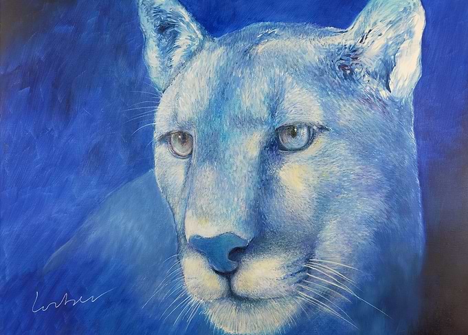 The Puma