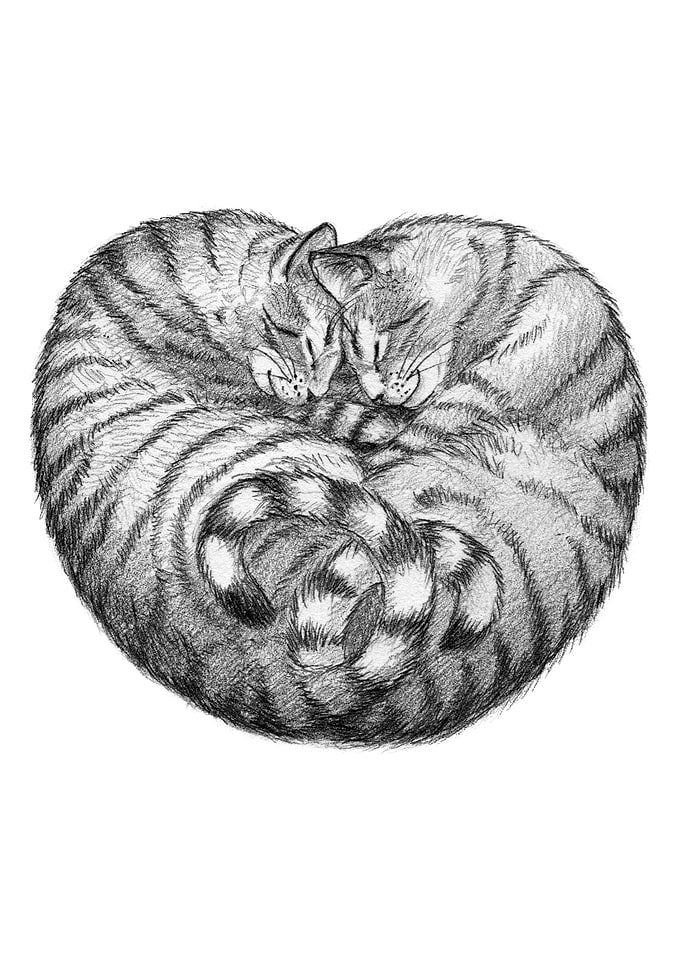 Cats Heart G21 021