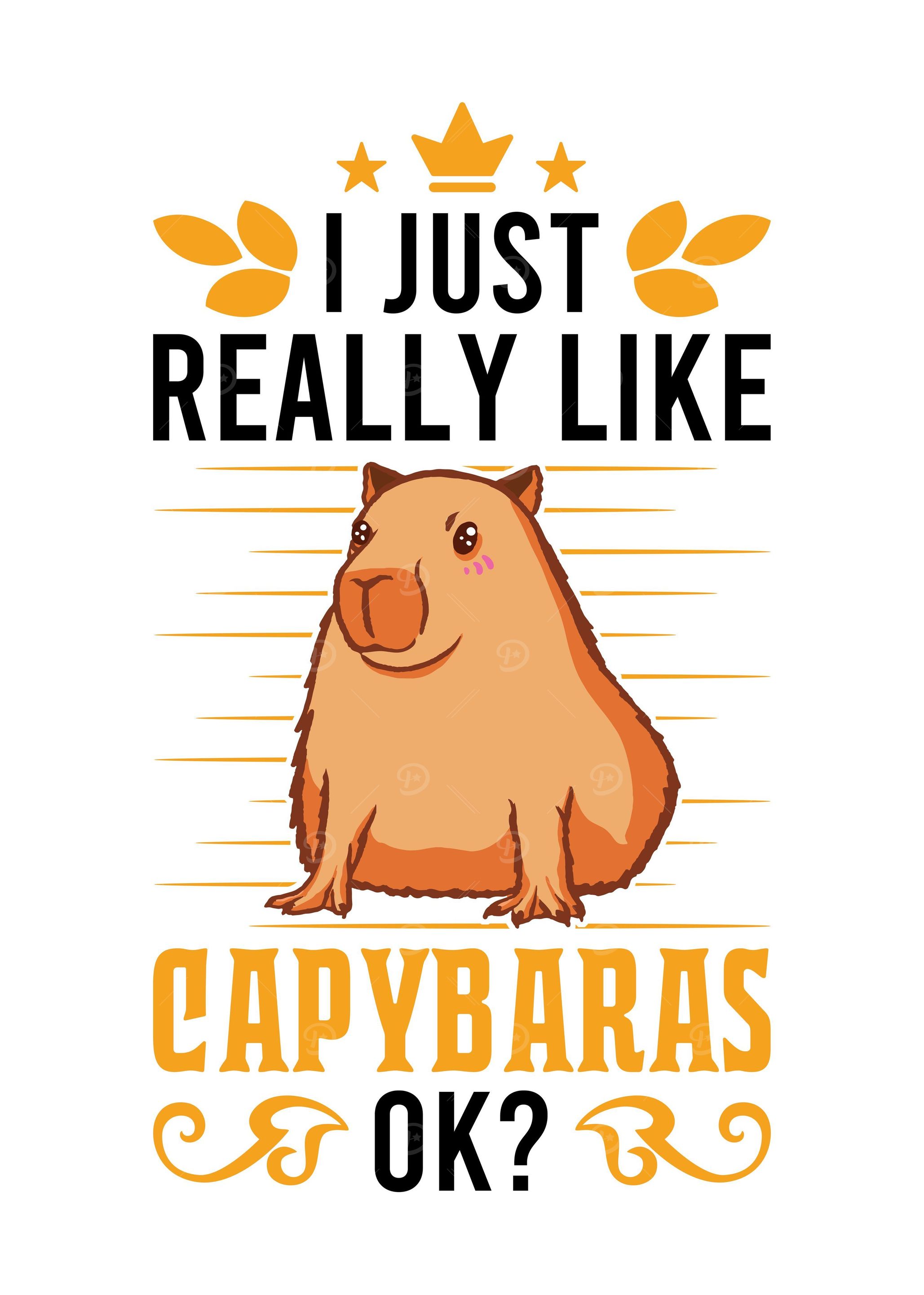 I Just Really Like