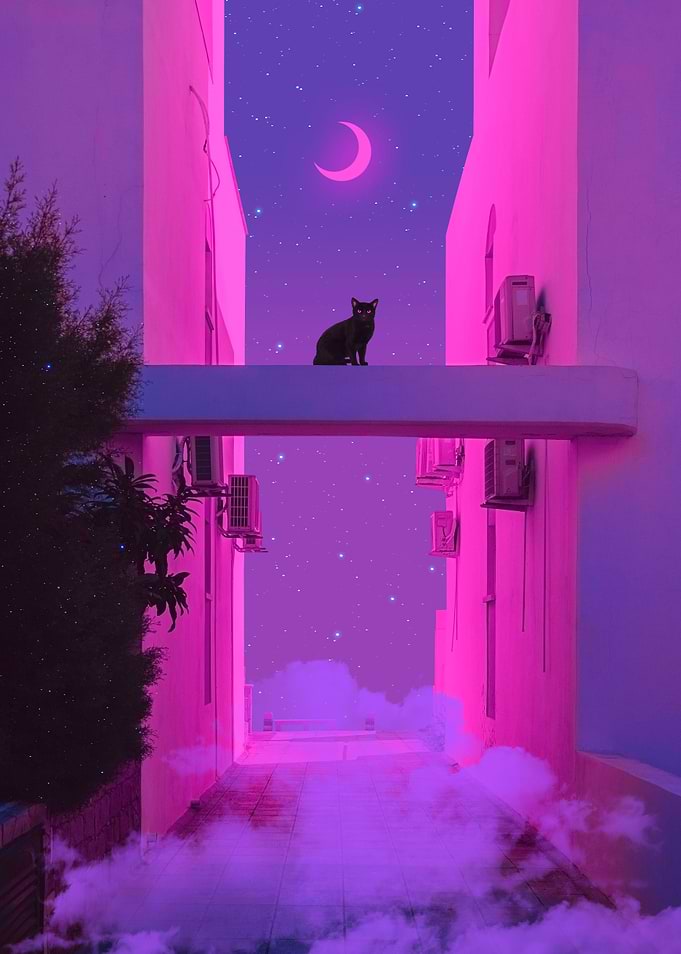 The Magic Cat
